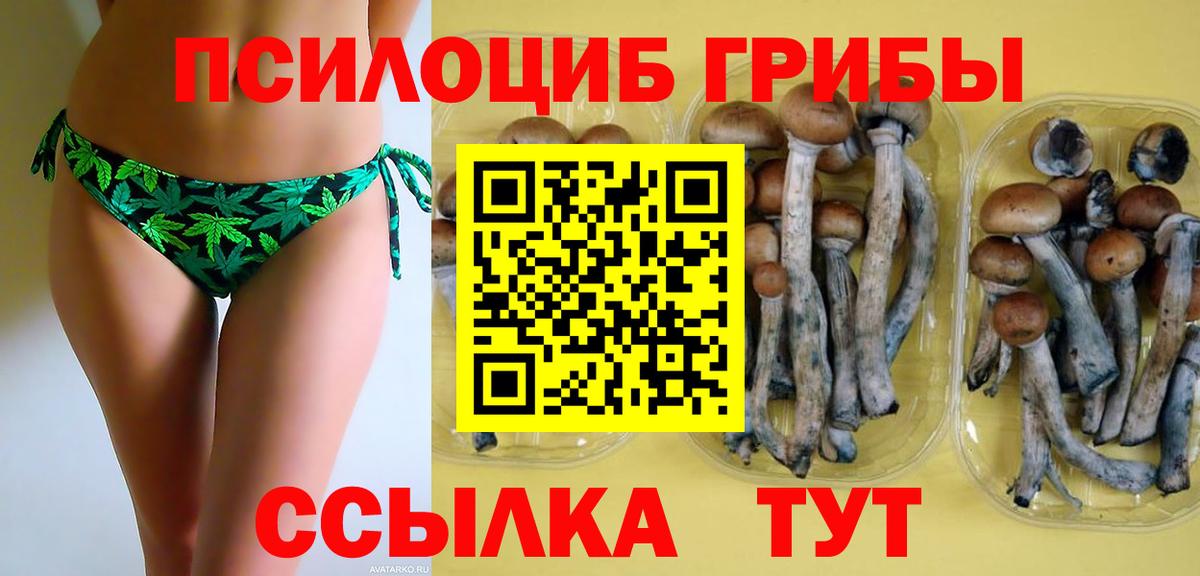 Псилоцибиновые грибы Psilocybe Изобильный